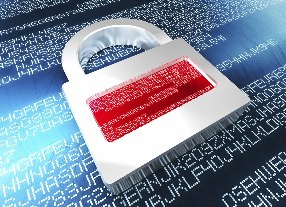 计算机网络完全需求